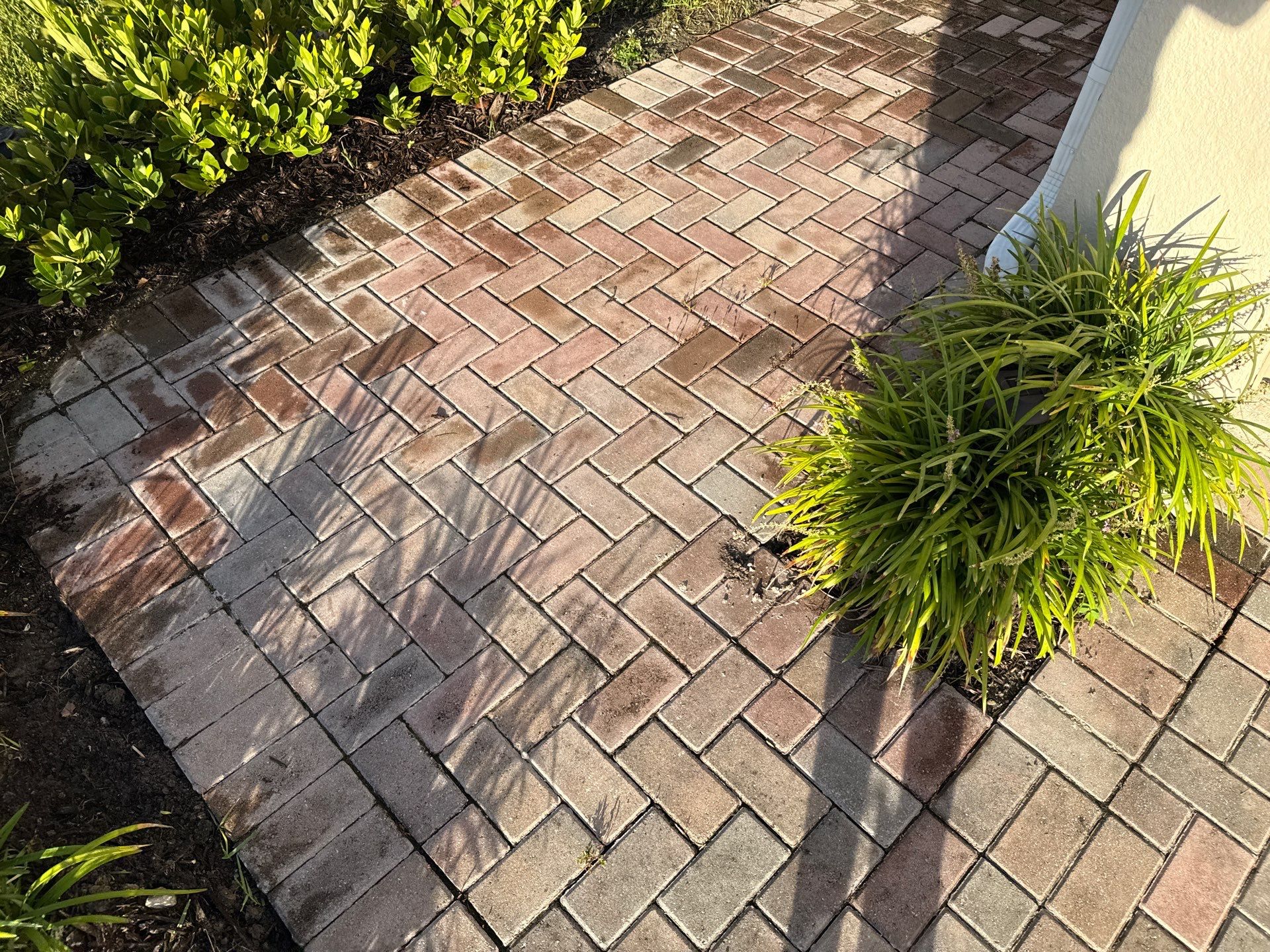 Complete House Wash, Driveway & Lanai Cleaning – Trevesta, Palmetto FL by Sunshine AquaWash