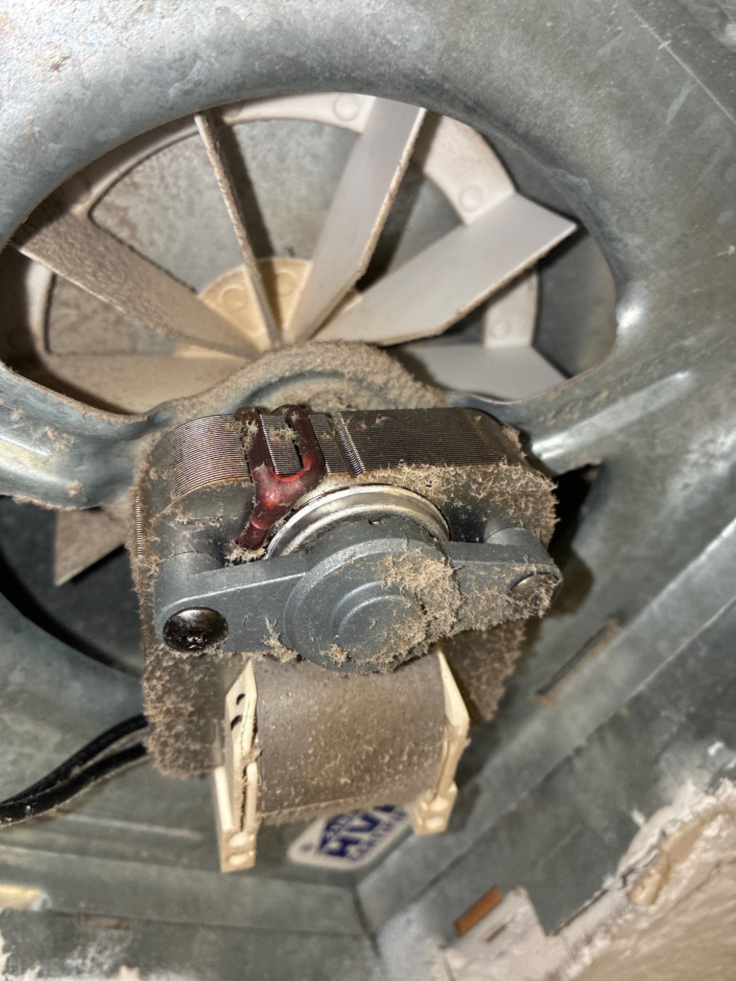 Air Duct Bath Fan Cleaning in Clermont by Hygienic Air, Inc