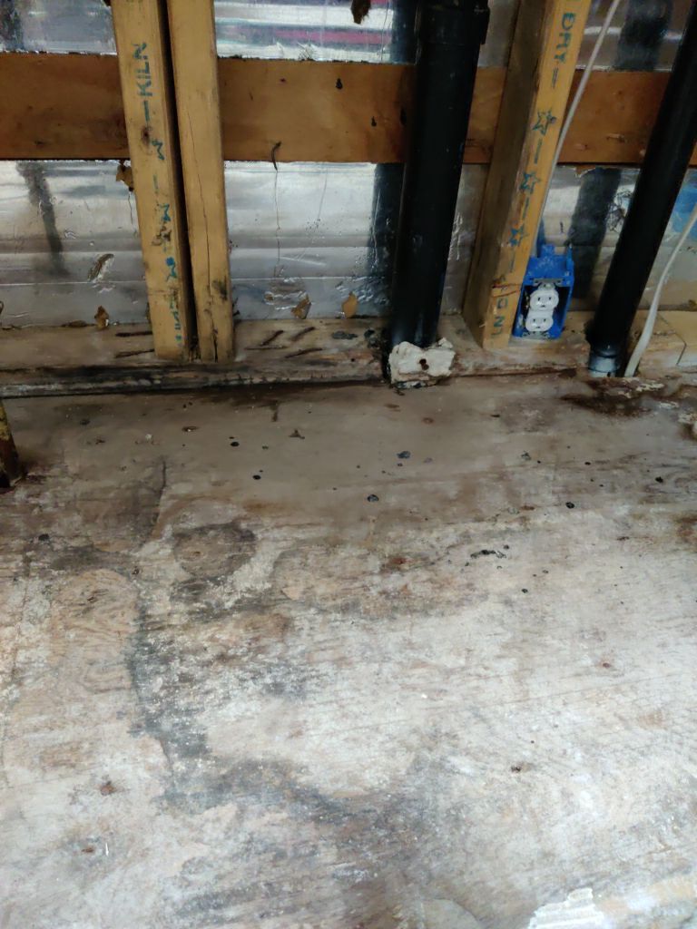 Mold Remediation using Containment by Accountable Home Services