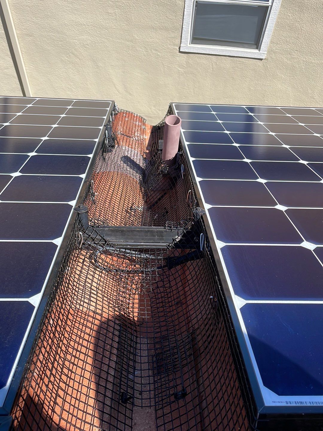 Solar Panel Bird Proofing using Critter Guard Mesh by All One Solar Shine