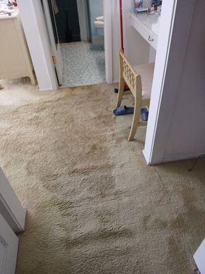 WATER DAMAGE