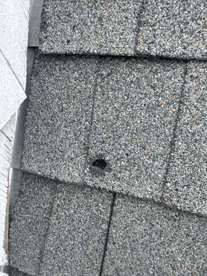 Tyee Roofing Replacement