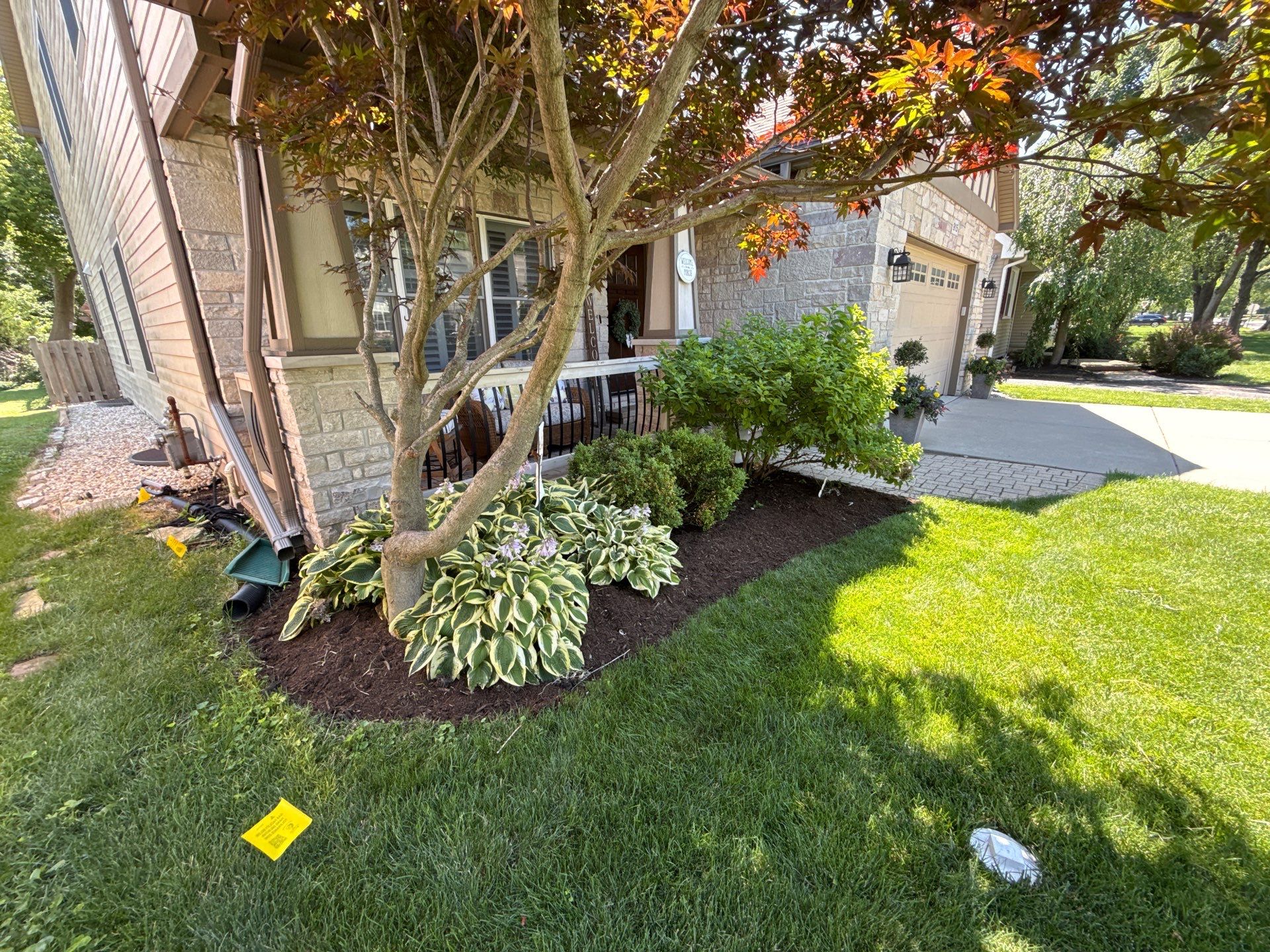 Tony B. - Arlington Heights, IL by A&N