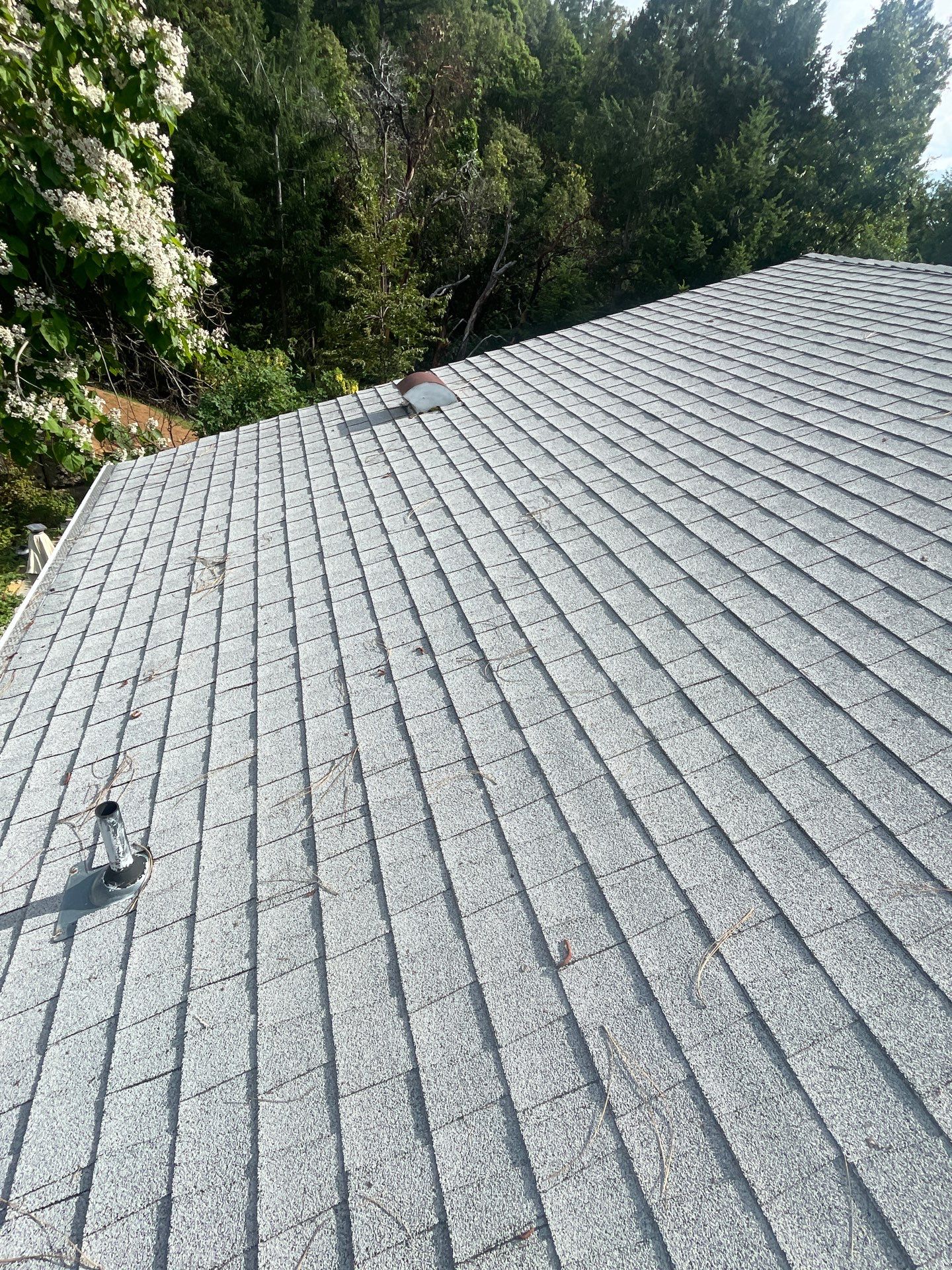 Roof Rejuvenation using Roof Maxx Treatment by Roof Maxx of Folsom