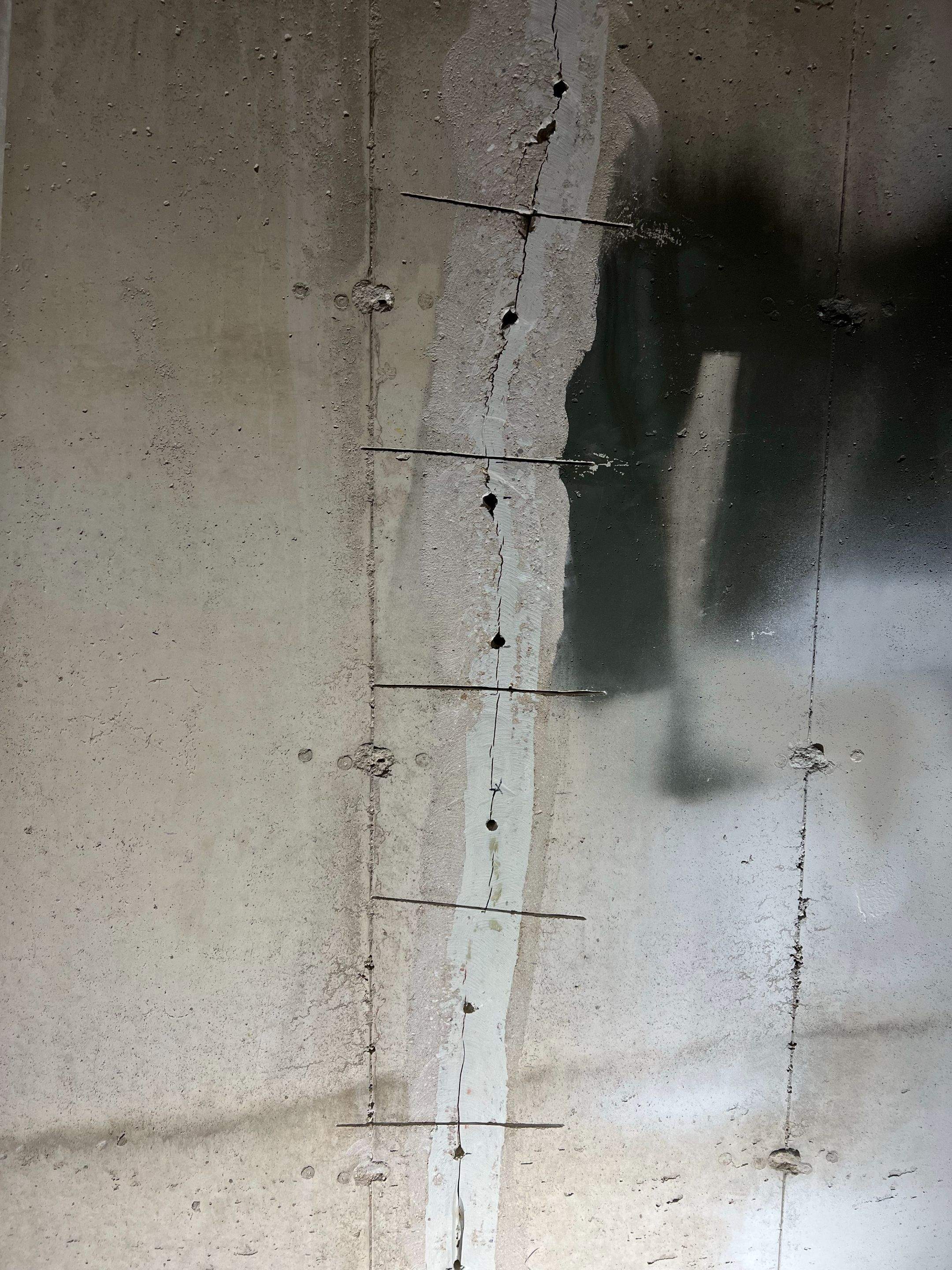 Foundation Crack Injection/Ball and Check Quiet Check Valve Replacement by Allied Water Services