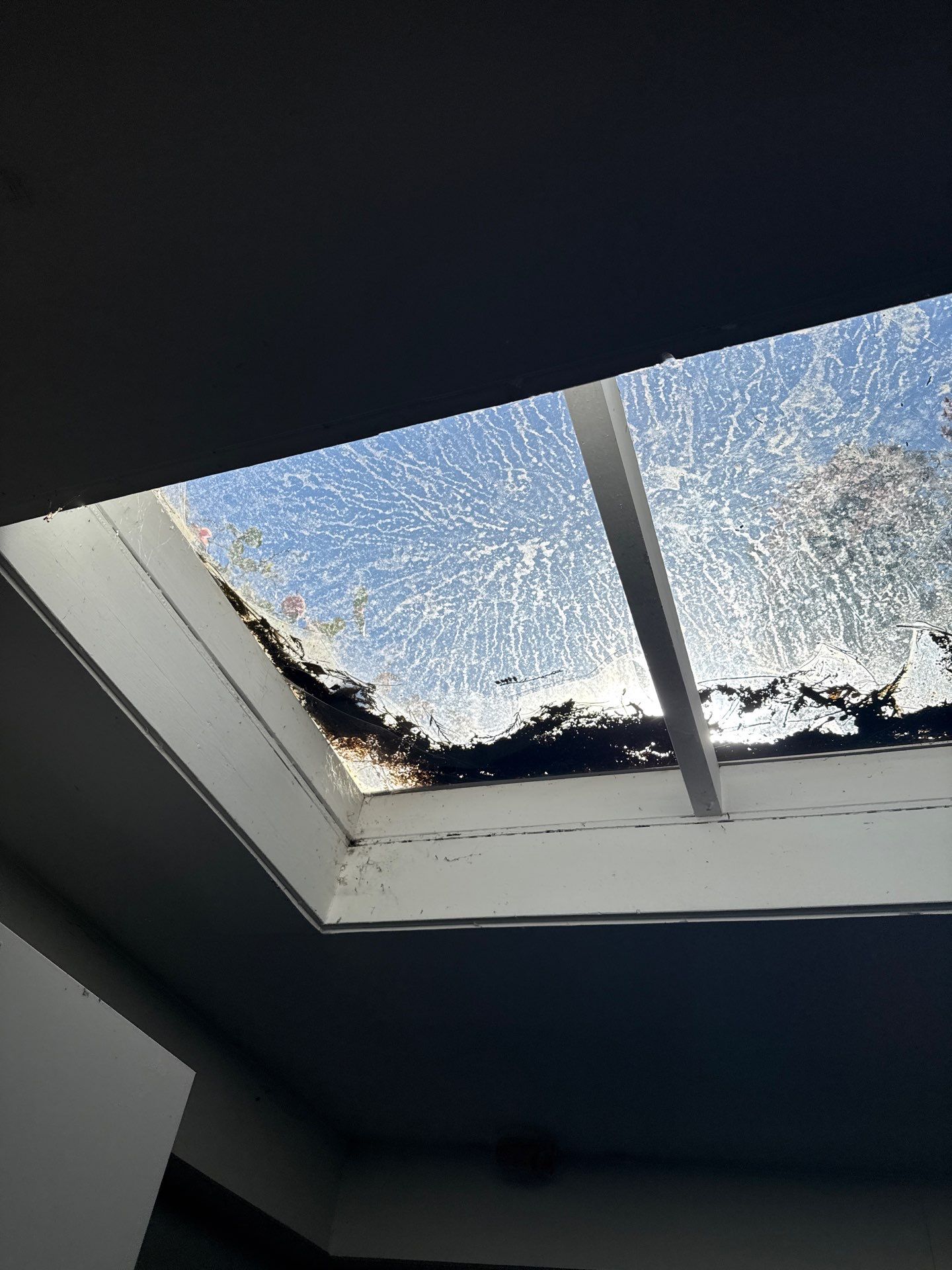Fallen Tree Interior/ Exterior repair in Milwaukie by American Made Construction