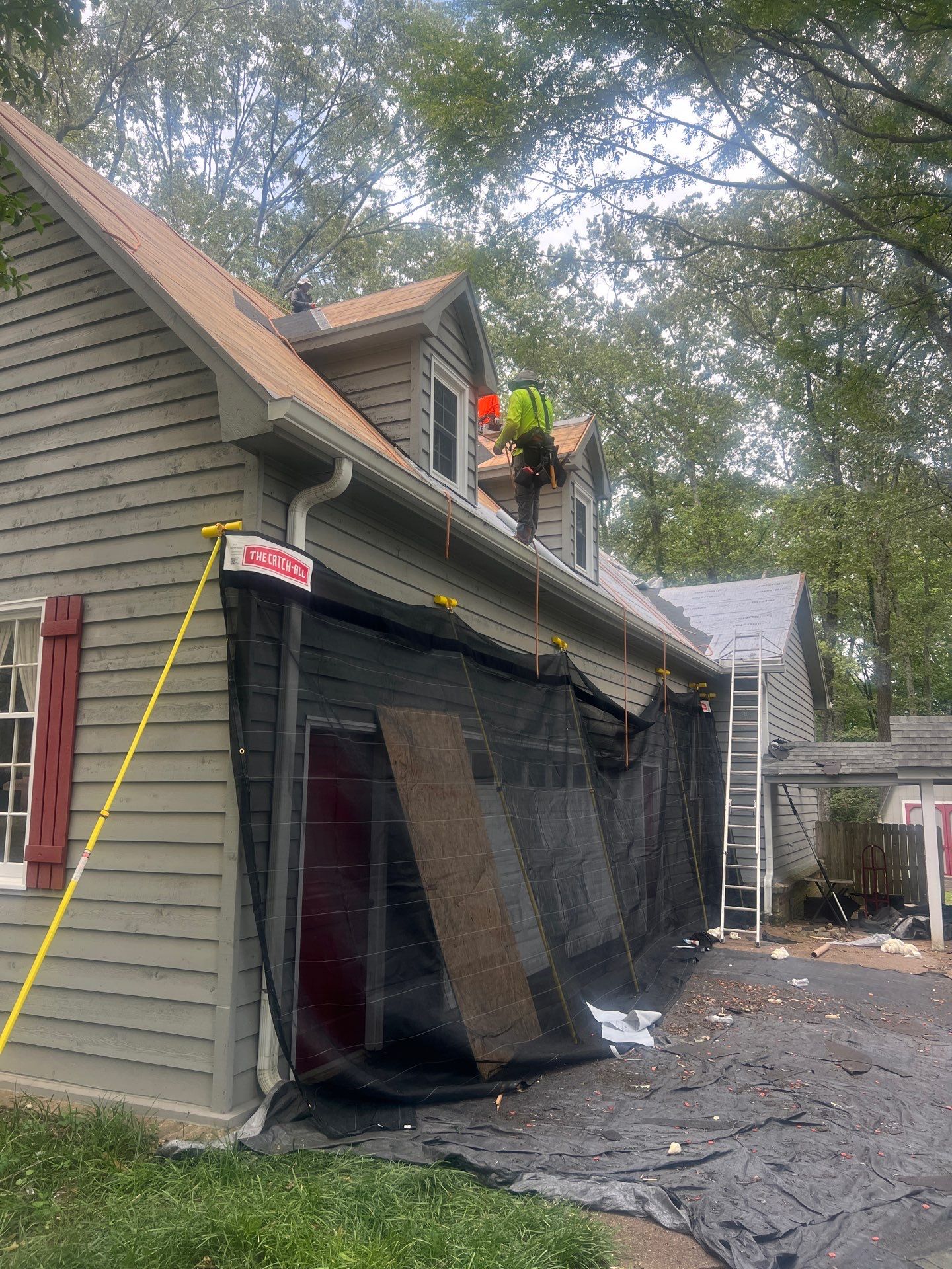 Collierville Roof Replacement Following Major Tree Impact Damage with interior repairs by Revival Roofing Services