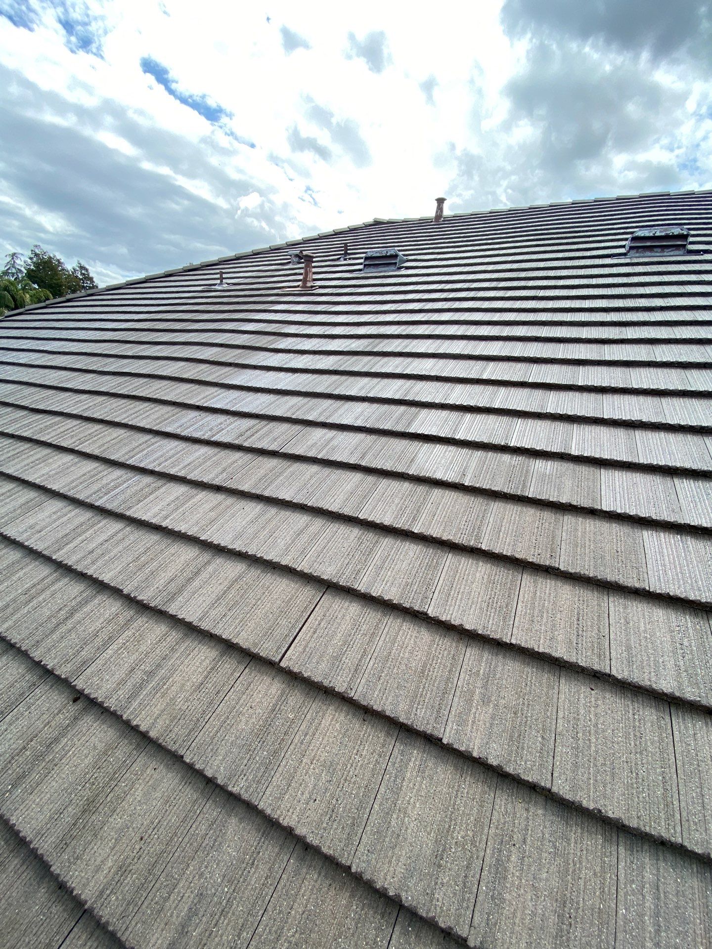 Moss Removal by Top Elevation