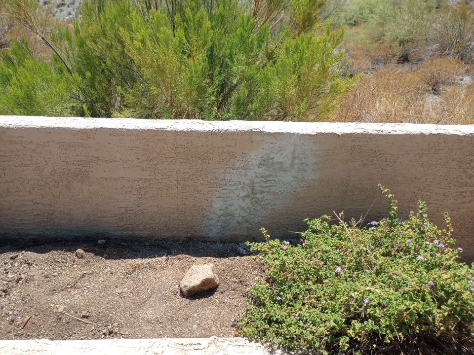 Exterior Painting Job in Fountain Hills by Crash of Rhinos Painting & Garage Floors