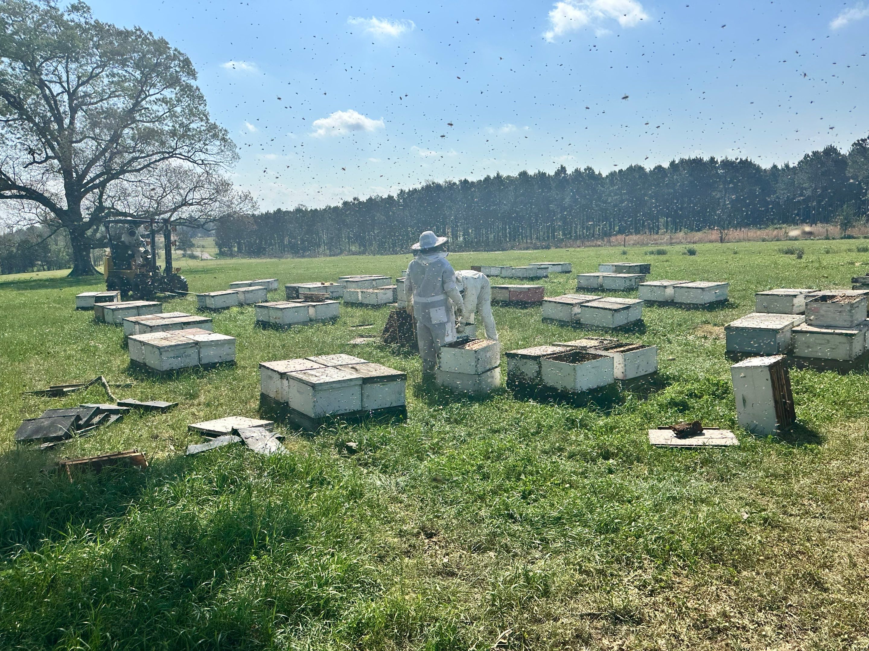 Peanut Farm Apiary by Rockwall Honey Bee Company