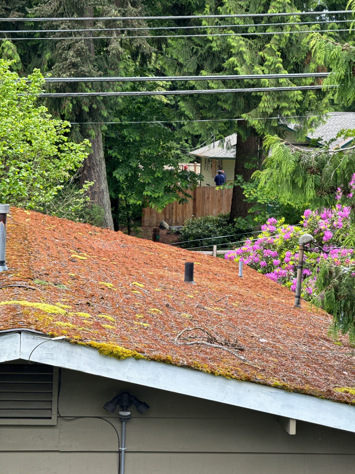 Project in Everett by Peaks and Valleys Construction