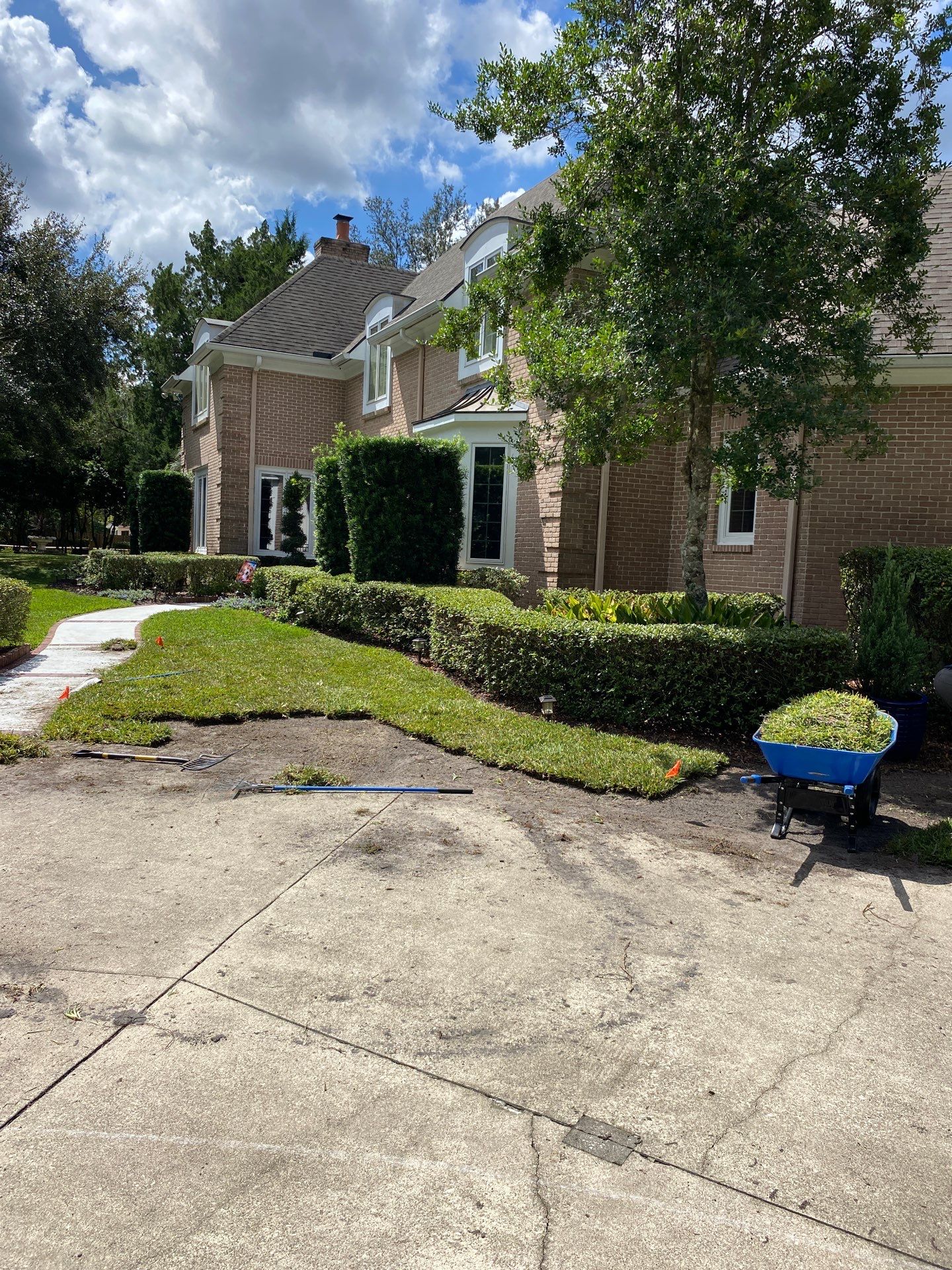 Deerwood Resident | Sod Removal & Install by ProGreen Services