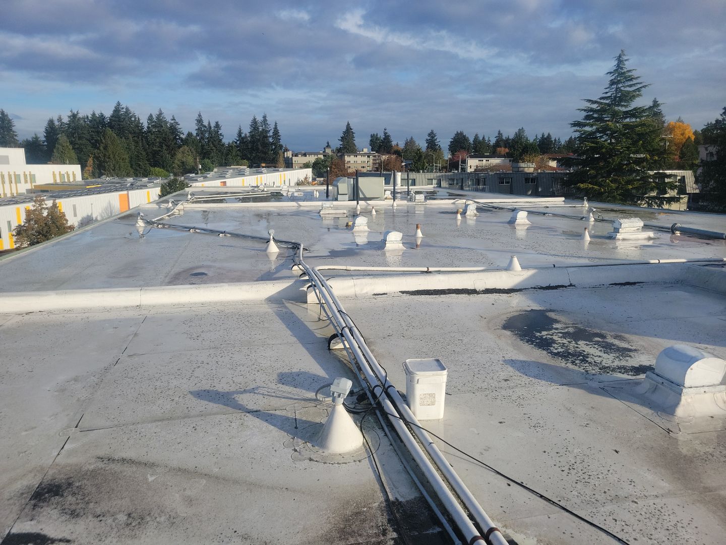 2025 Seattle Multi-Family Overlay by Alternative Roofing Systems Inc. 