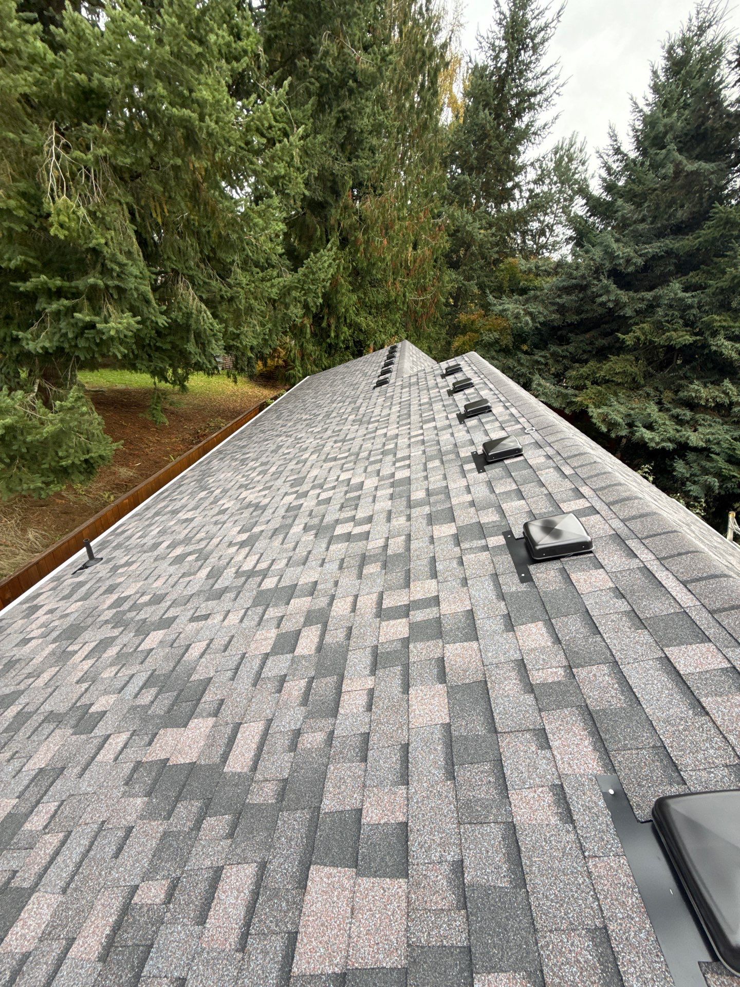 Midnight Plum | Roof Replacement in Vancouver, WA 98661 by Valiant Roofing, LLC