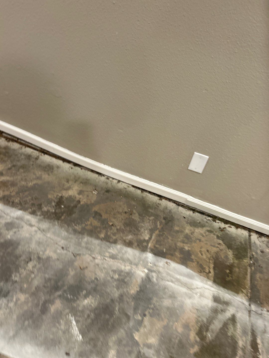 Water Damage  by Accountable Home Services