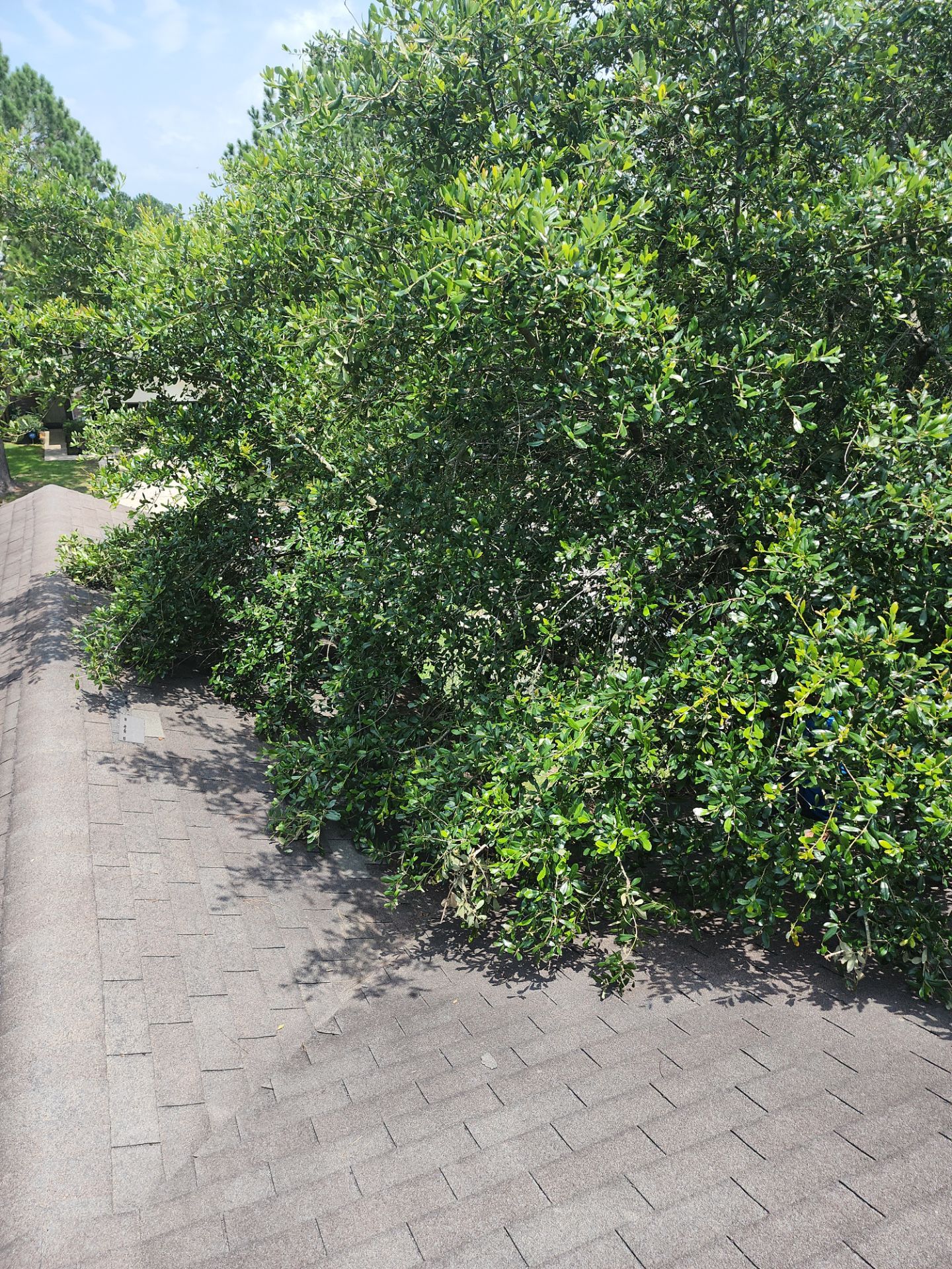 Residential Roofing Repair using Owen's Corning Duration (Lifetime) Shingles by Roof Repair Company