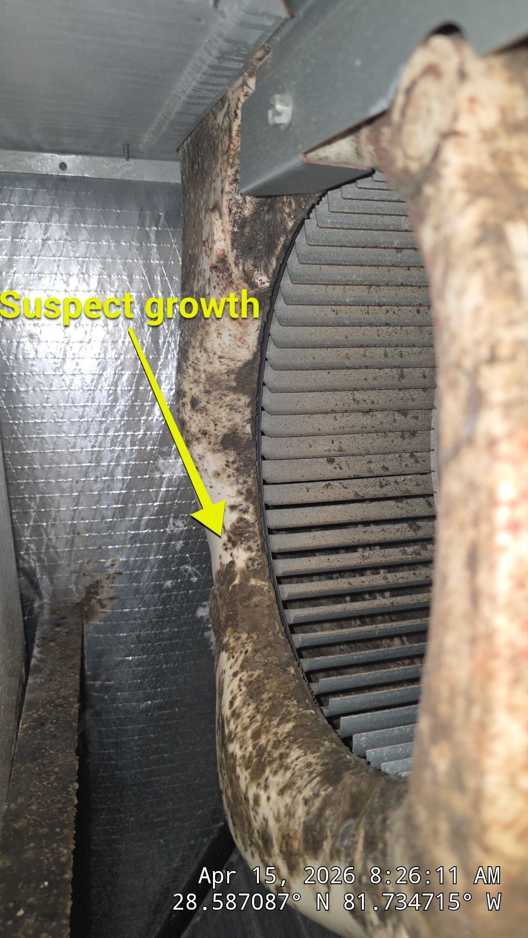 Air Duct Bath Fan Cleaning in Clermont by Hygienic Air, Inc