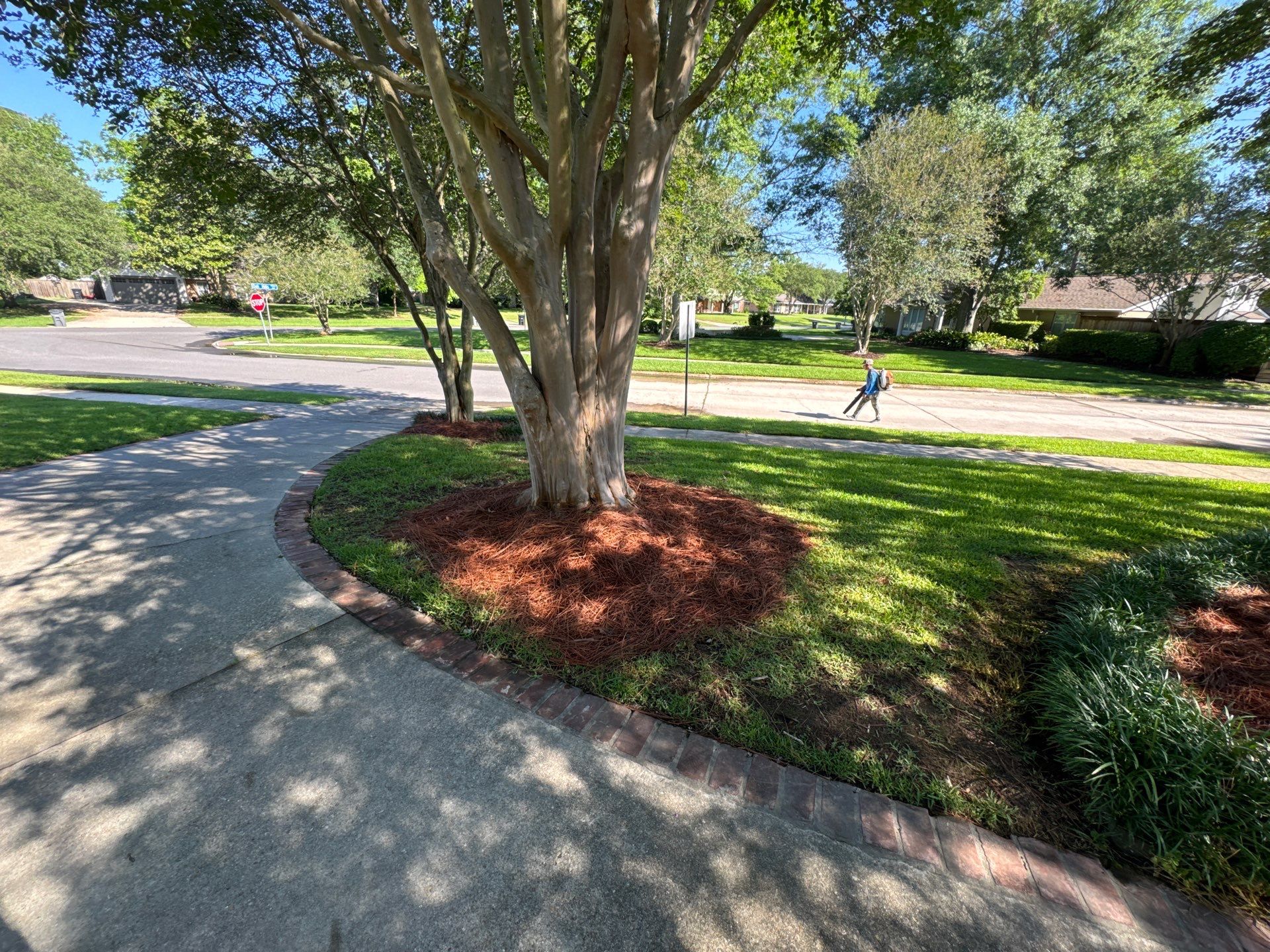 RESIDENTIAL LAWN, MAINTENANCE AND LANDSCAPING by CutScape, LLC.