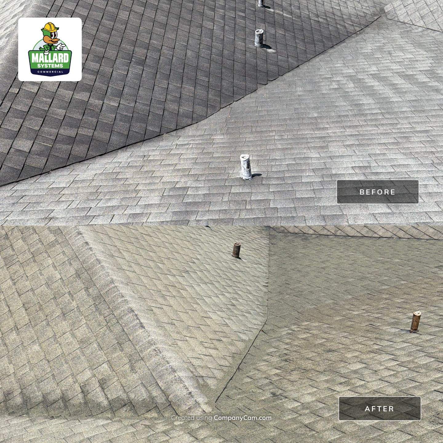 Residential Shingle Roof Cleaning in Orlando by Mallard Systems