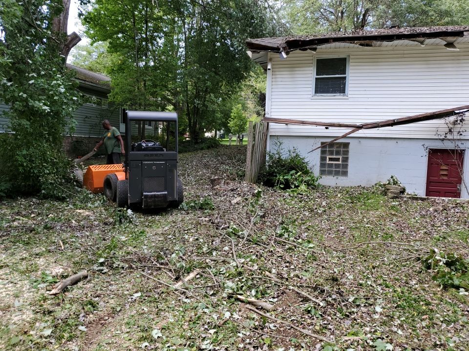 Storm Damaged Tree Removal  by Mike Jones & Sons Tree Service LLC 