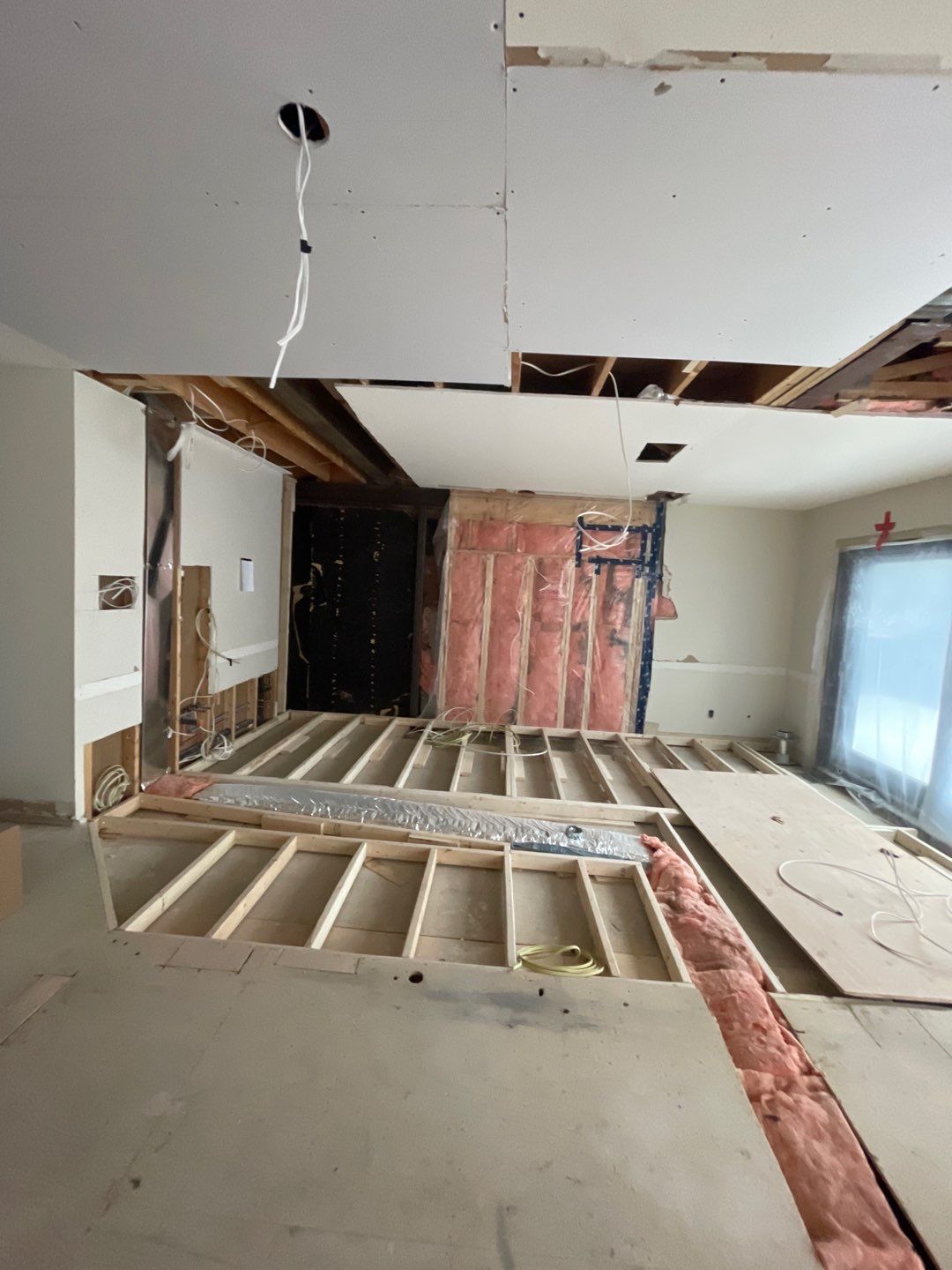 Large scale renovation by Eco-Nature Construction Inc.