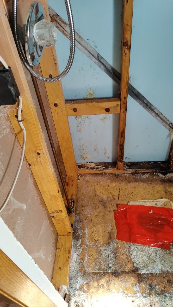 Water Damage and Mold Remediation by Accountable Home Services