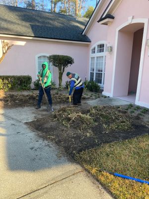 Deerwood Resident | Tree Removal & Clean-Up