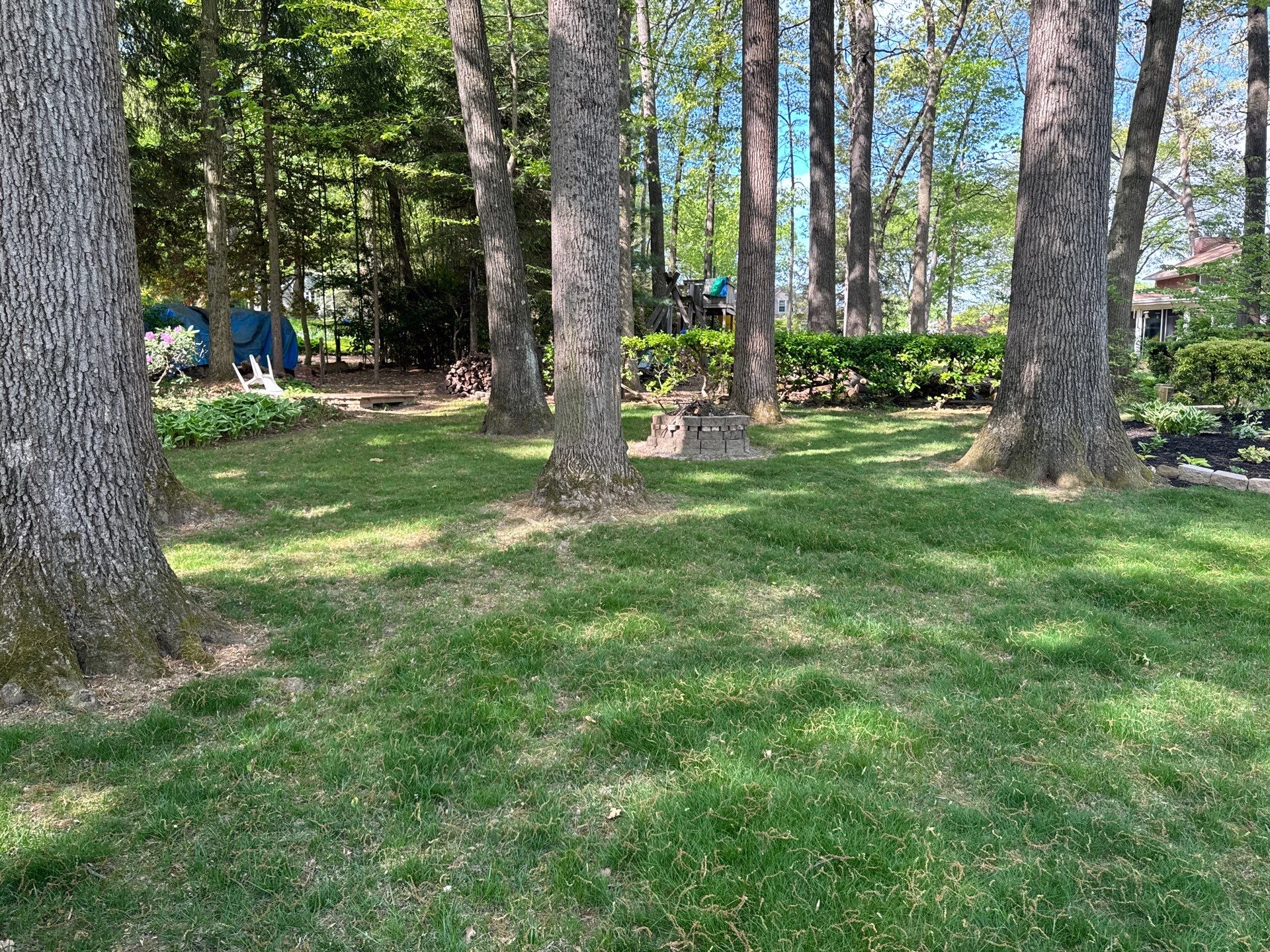 East York Pa by Go Green CLC