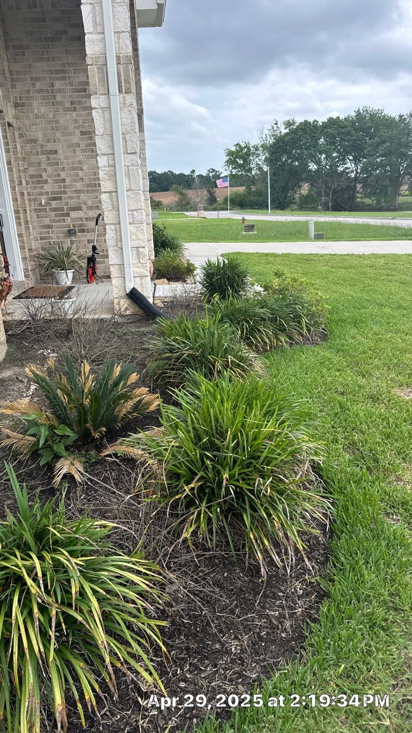 🌟 Mr. & Mrs. Wheeler’s Drainage & Landscape Transformation by Texas Urban Elements