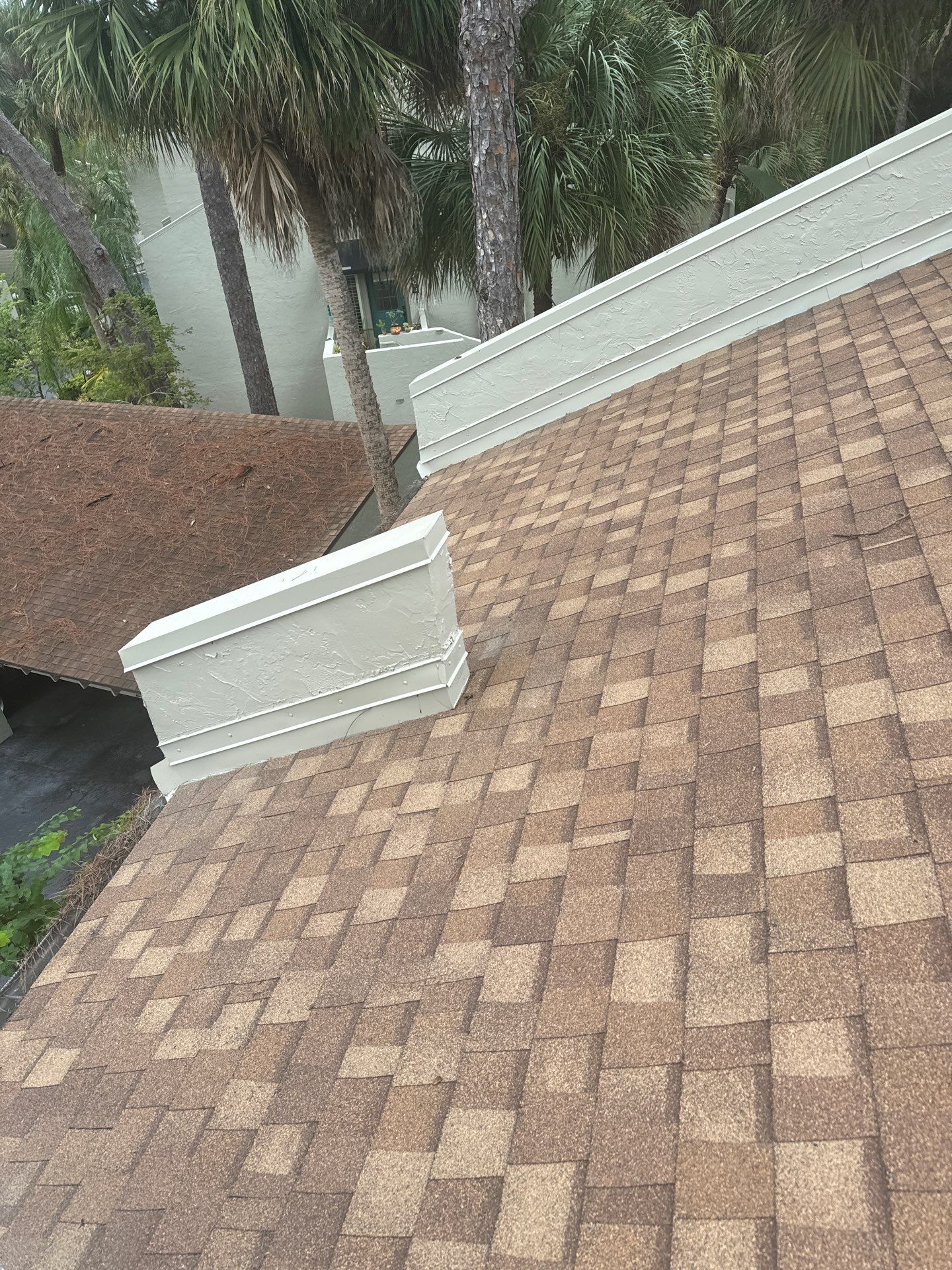 Shingle Reroof Replacement Longwood FL by Pinnacle Roofing Group