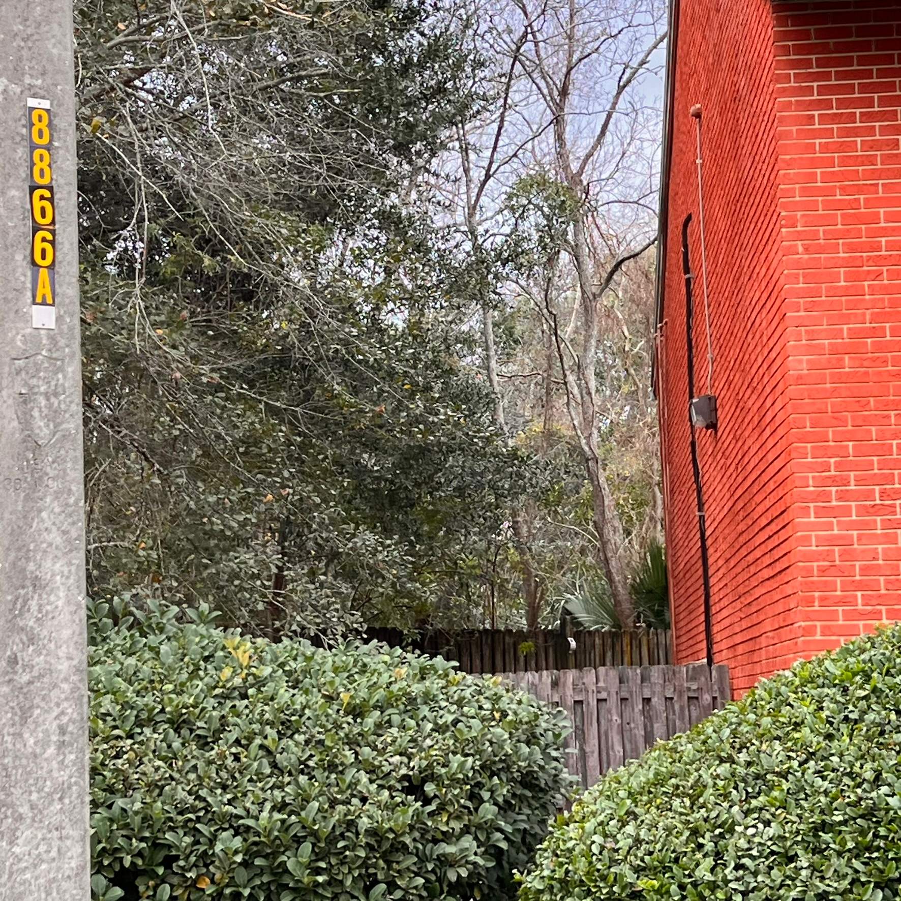 Tree Trimming | Preserve at San Jose by ProGreen Services
