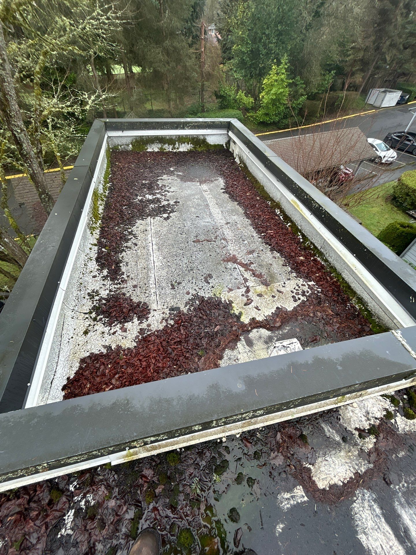 Project in Kirkland by Connolly Construction Company