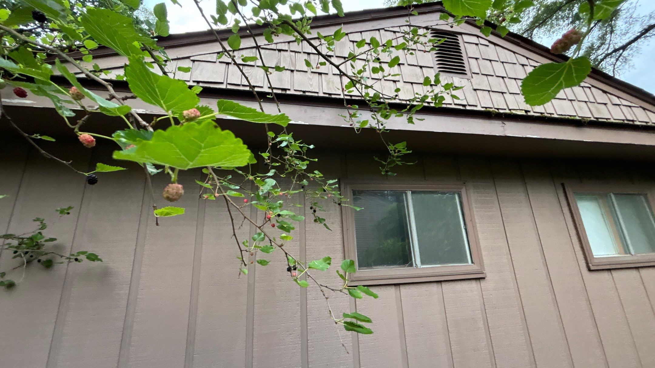 Roof Replacement using Owens Corning Summer Harvest by 180 Contractors