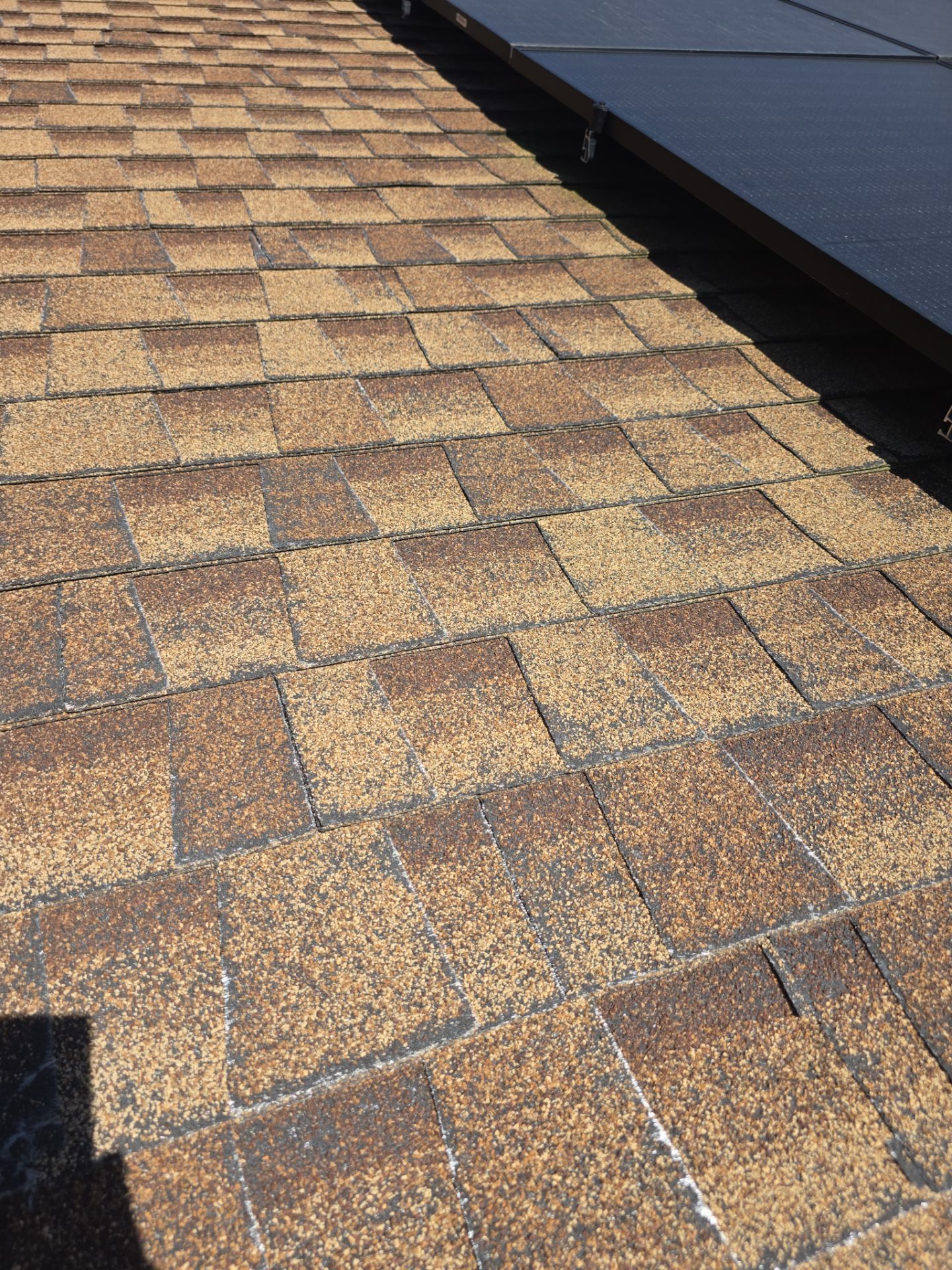 Roof Rejuvenation using Roof Maxx Treatment by Roof Maxx of Folsom