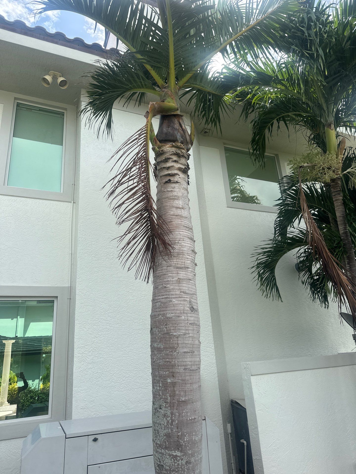 Sewall's Point Phase 1 - The Art of the Cutback by Alpha Zeta Enterprises Inc