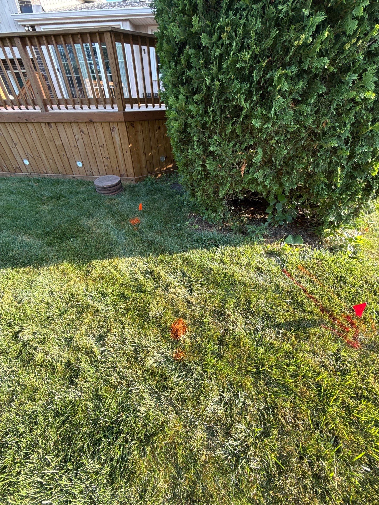 Brian W. - Arlington Heights, IL by A&N
