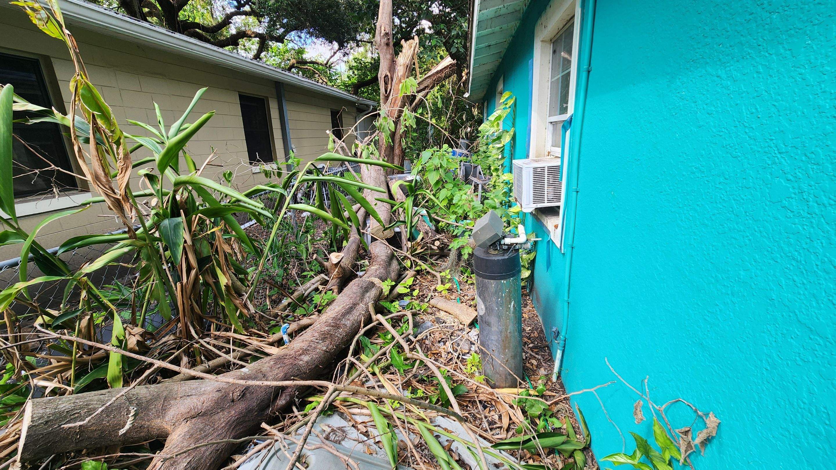 Tree Damage Claim in Orlando by FLAPA & KeyStone