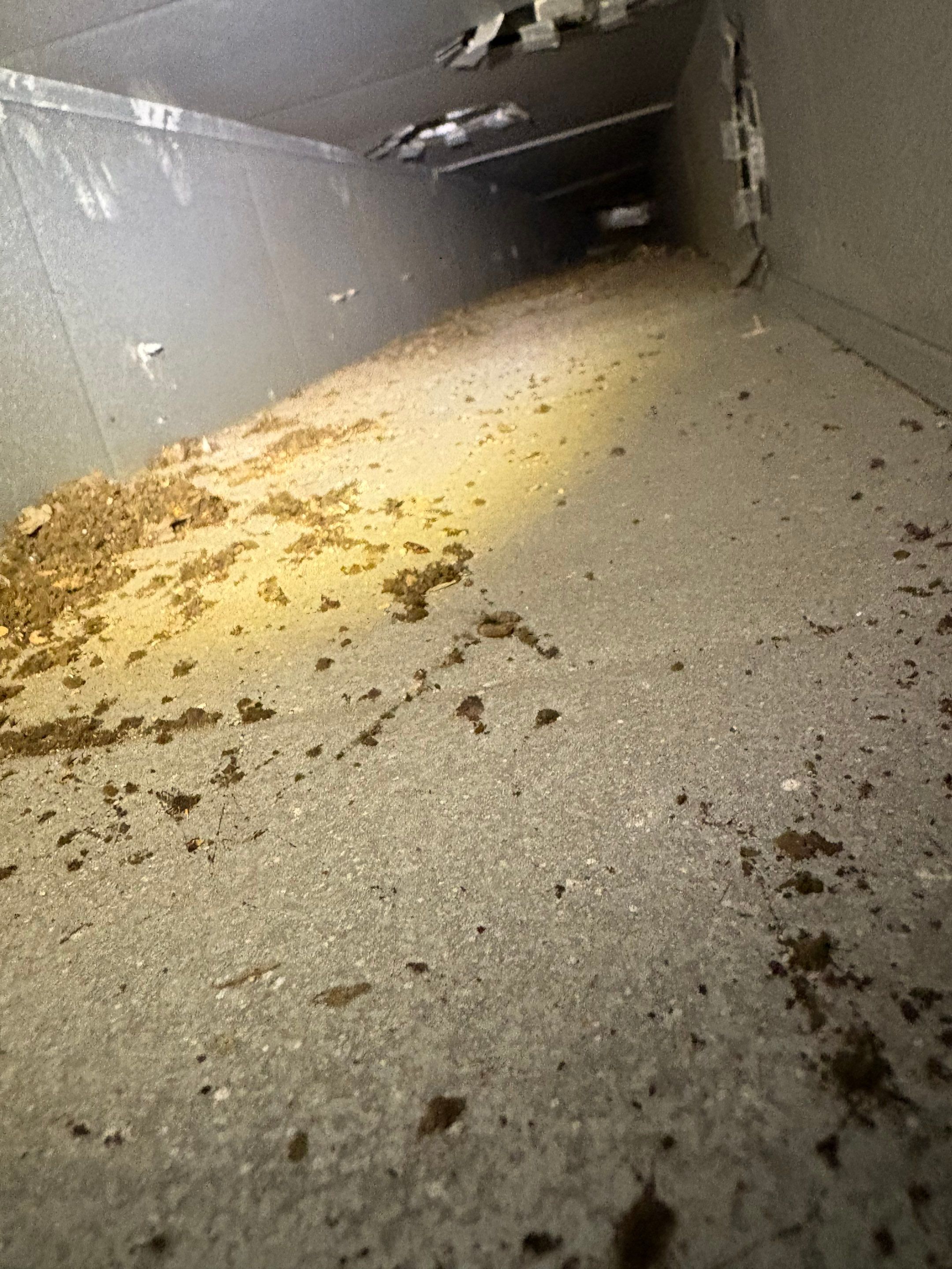 Duct Cleaning and Germicidal Kit Install in Woodstock by Elemental Heating and air conditioning LLC