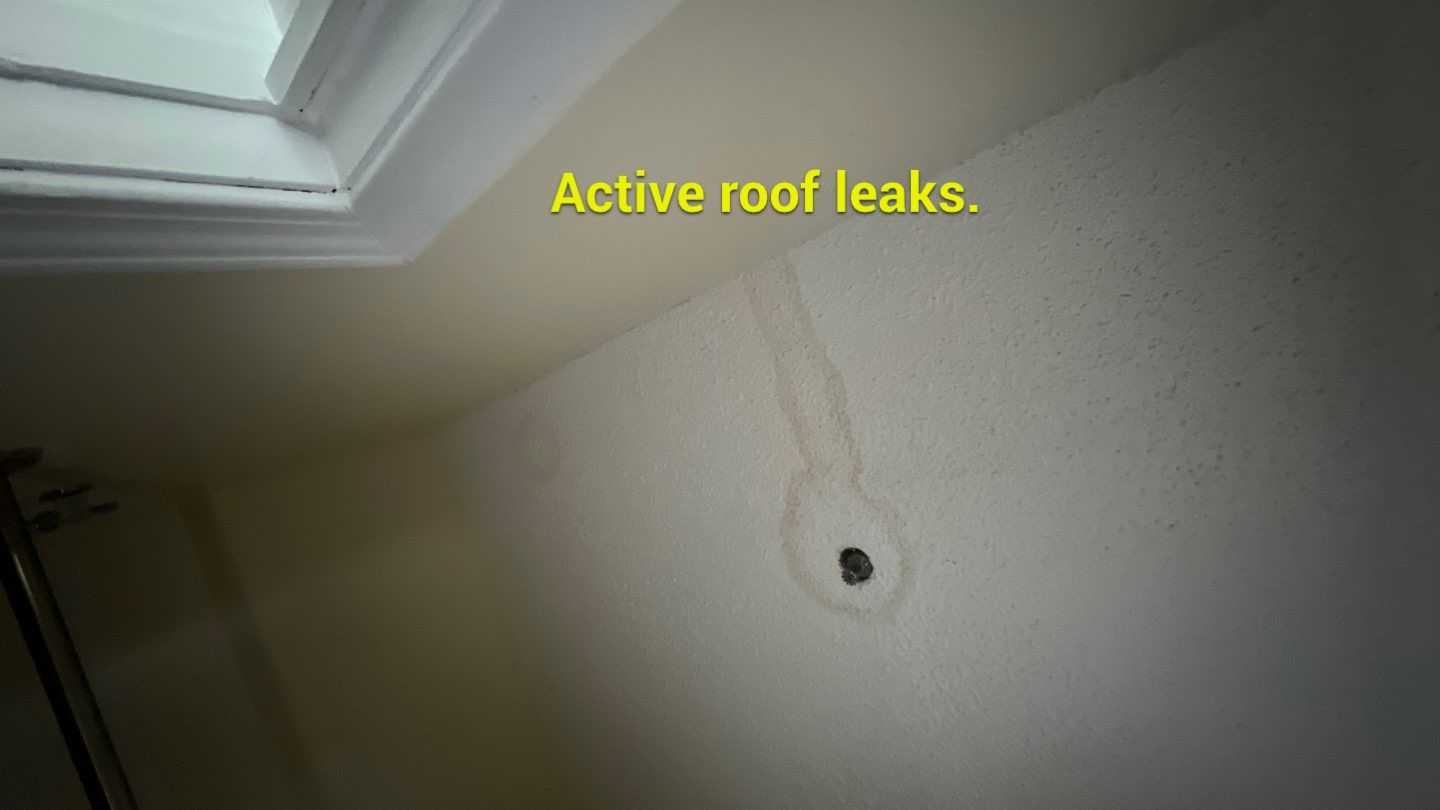 The Gardens of Rome by PC&D