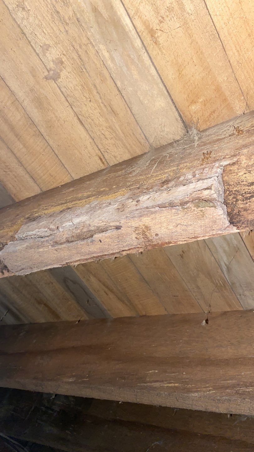 Crawl space encapsulation and Waterproofing using GrateDrain Waterproofing System by Toledo Basement Repair 