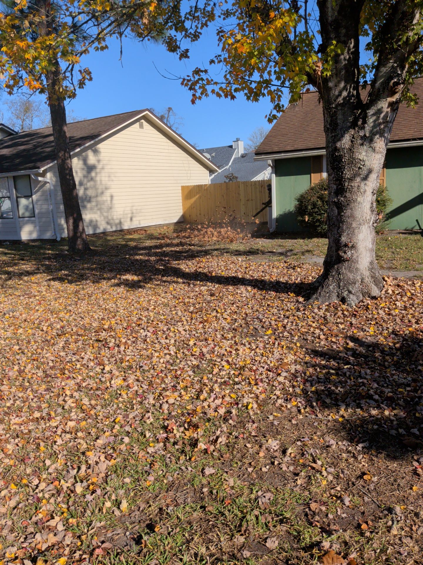 Residential Leaf Removal Service — Westside Jacksonville by Harmoni Home Services
