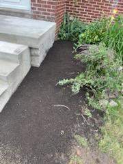 Concrete and Porch by Ivy Lea Construction