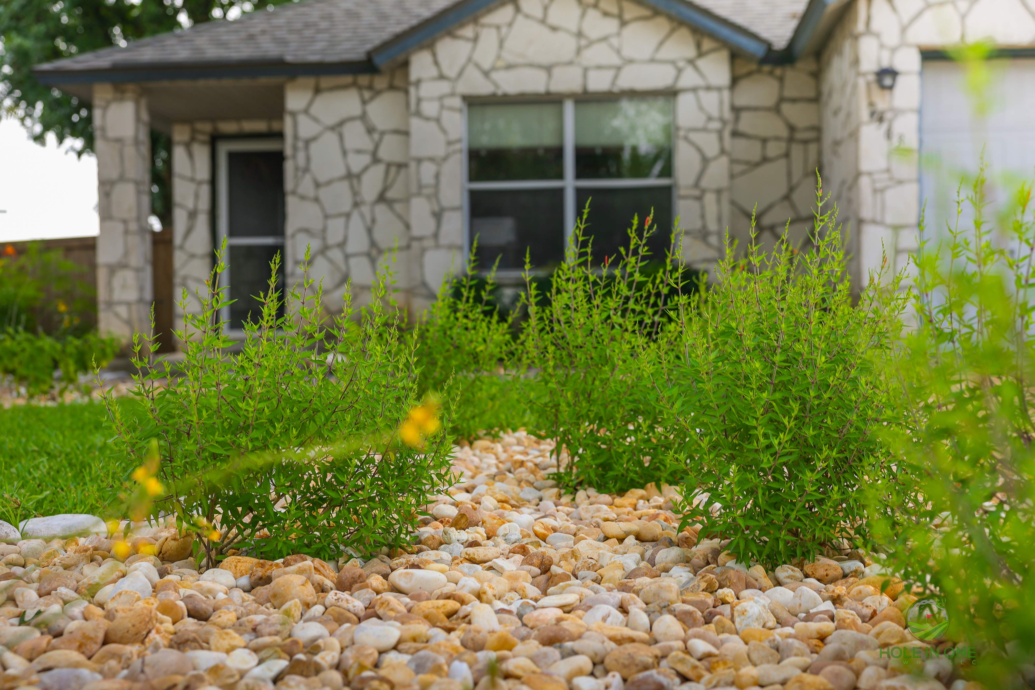 Ashley Park, Schertz TX by Hole In One Lawns, LLC