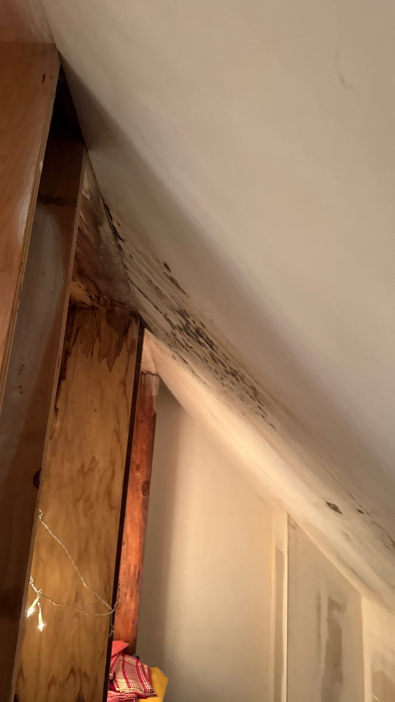 Project in Grass Valley by NuLead Construction Inc