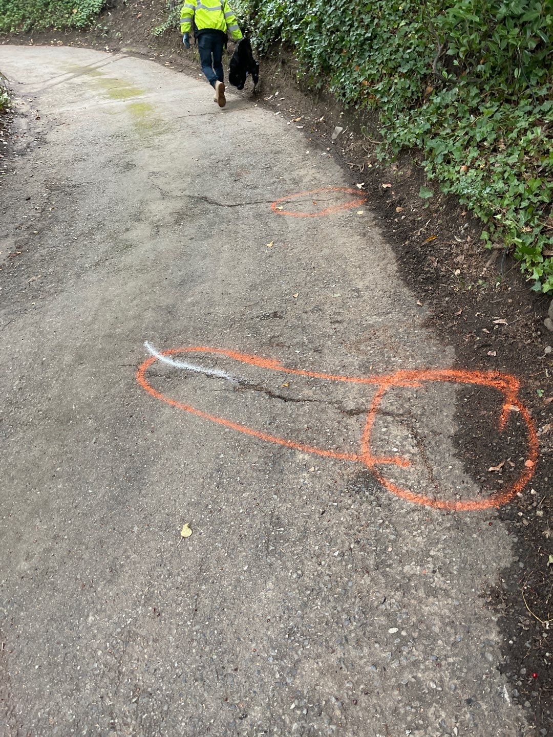Asphalt Road Repair | Mercer Island  by Jireh Asphalt & Concrete Inc 