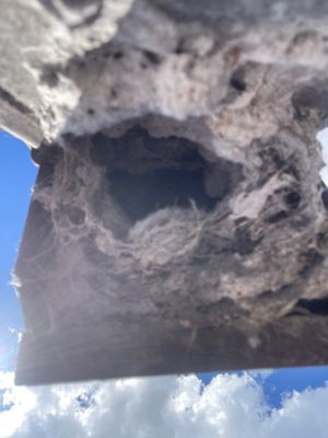 Boot Repair, Air Duct and Dryer Vent Cleaning in Clermont