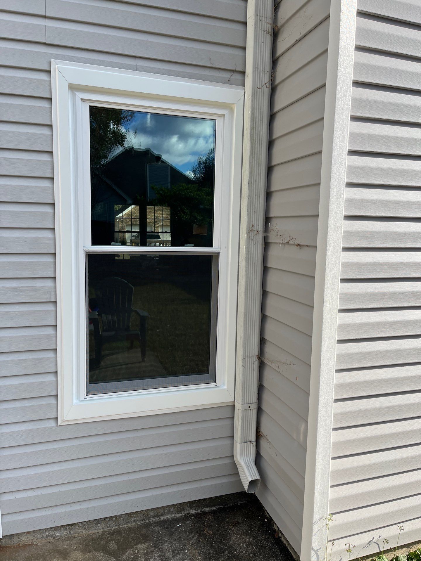 St Cyr Project in Helena by The Window Source