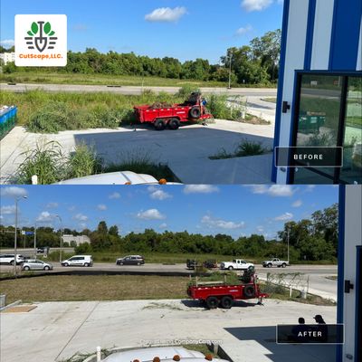 BRUSH REMOVAL / PROPERTY CLEAN UP