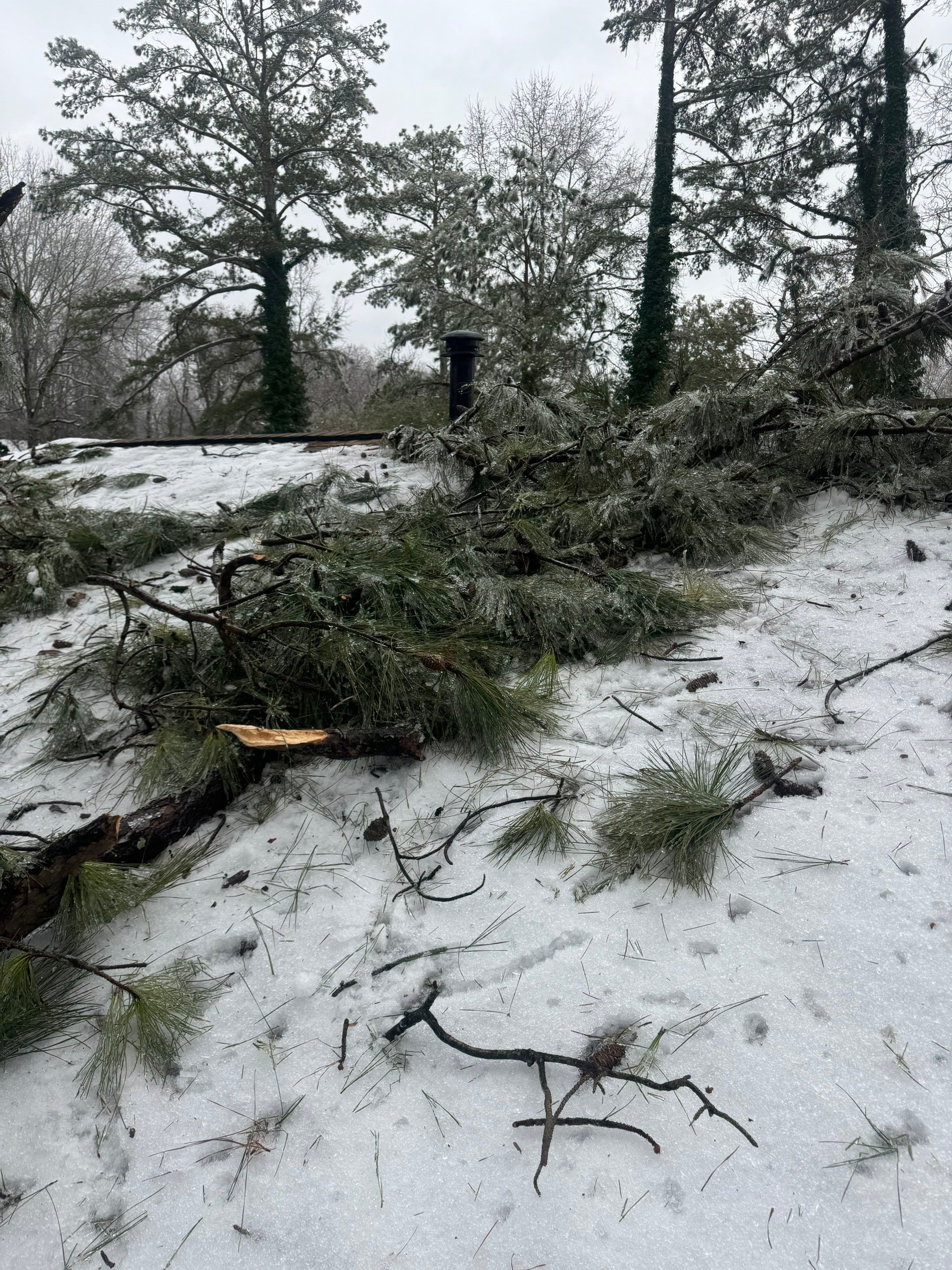 Emergency Roof Damage Roof Repair using GAF HDZ Architectural Asphalt Shingles by Mosaic Roofing Company