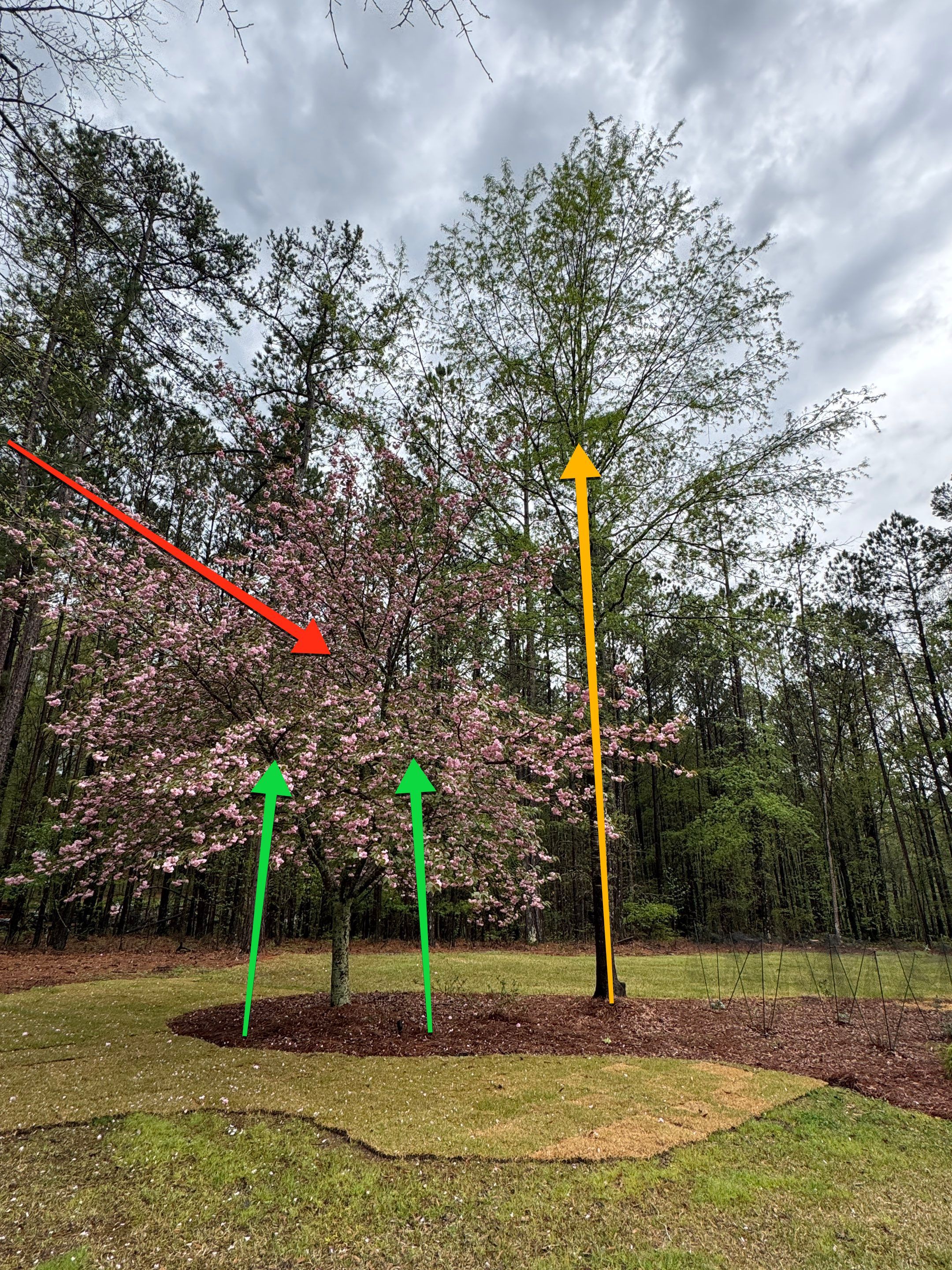 COLD Project by Georgia Outdoor Decor